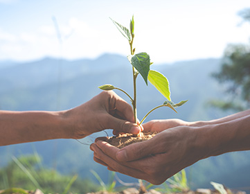Governance and sustainability
