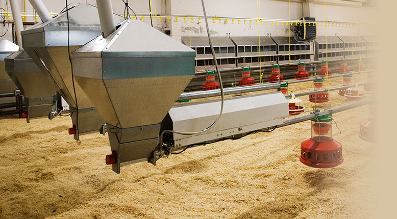 integrated-poultry-farm-img-1