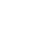 Materiality Assessment Icon White